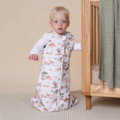 Snuggle Hunny Organic Cotton Sleeping Bag - Dino